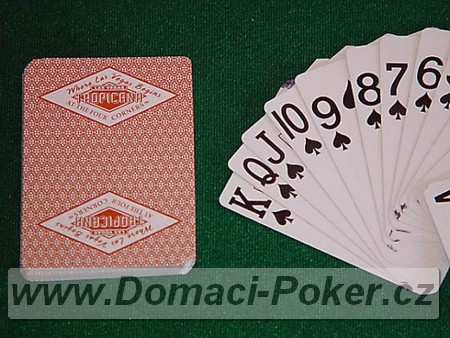 Hrac karty Casino Tropicana