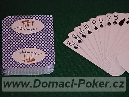 Hrac karty Casino Mirage
